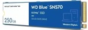 WD® Blue SN570 SSD 250GB PCIe NVME M.2